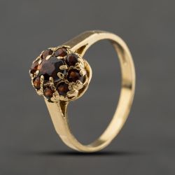 Second Hand 9ct Yellow Gold Garnet Flower Cluster Ring 41104342