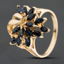 Second Hand 9ct Yellow Gold Sapphire Fancy Spray Cluster Ring 41104843