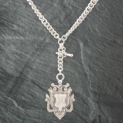 Second Hand Vintage Silver Medal Albert 15 Inch T-Bar Curb Chain 41251204