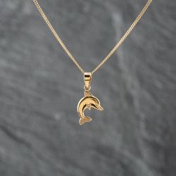 Second Hand 9ct Yellow Gold Dolphin Pendant & 18 Inch Curb Chain 43141288