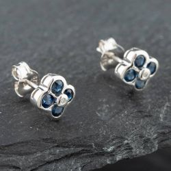 Second Hand White Gold 0.66ct Brilliant Cut Sapphire & Diamond Stud Earrings 43171064