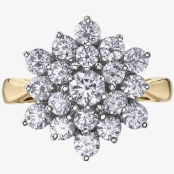 9ct Yellow Gold 2.00ct Diamond Flower Ring 51H44/200-10