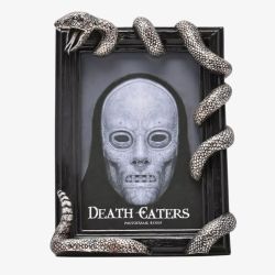 Harry Potter Dark Arts Nagini 4x6 Inch Photo Frame WB314