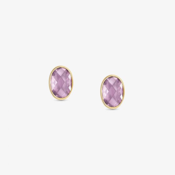 Nomination Gold Plated Pink Cubic Zirconia Oval Stud Earrings 027841/003
