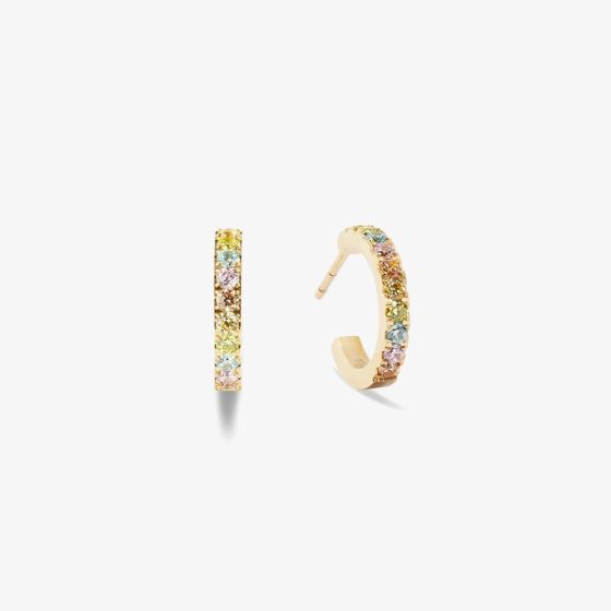 Coeur De Lion Eternal Love Multi Colour Cubic Zirconia Hoop Earrings 0146/23-1590