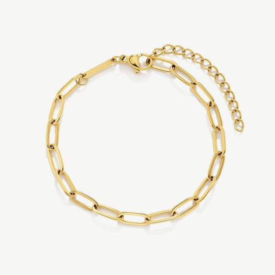 D.Louise Yellow Gold Tone Plated Stainless Steel Paperclip Bracelet GB-009