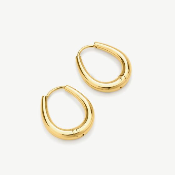D.Louise Yellow Gold Tone Plated Stainless Steel Tapered Oval Hoop Earrings NAE-28