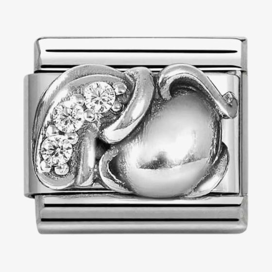 Nomination Silvershine Sterling Silver Cubic Zirconia Aquarius Charm 330326/11