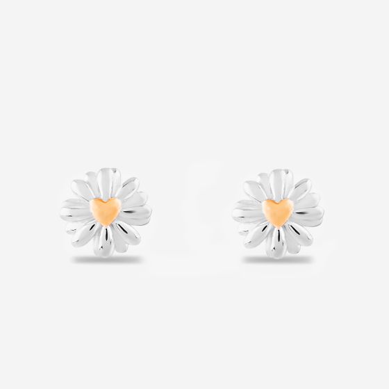 Rosa Lea Daisy Heart Stud Earrings AM-2THB028107 RG