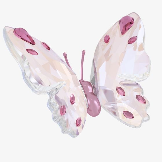 Swarovski Idyllia Butterfly Ornament 5691959