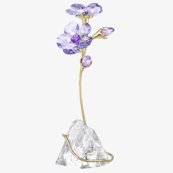 Swarovski Florere Rozanne Ornament 5693143