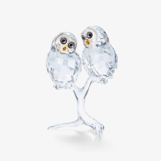 Swarovski Owl Couple Figurine 5493722