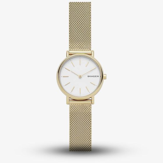 Skagen Signature Mesh Bracelet Watch SKW2693
