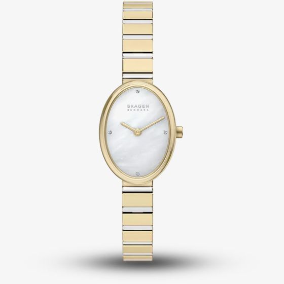 Skagen Ladies Anita Oval Two-Hand Two-Tone Bracelet Watch SKW3183