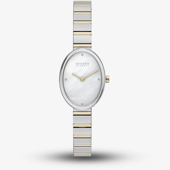Skagen Ladies Anita Oval Two-Hand Two-Tone Bracelet Watch SKW3198