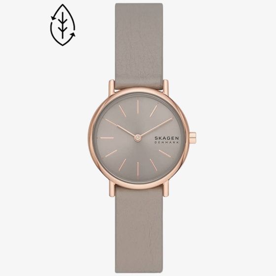 Skagen Ladies Signatur Lille Sand Watch SKW3060