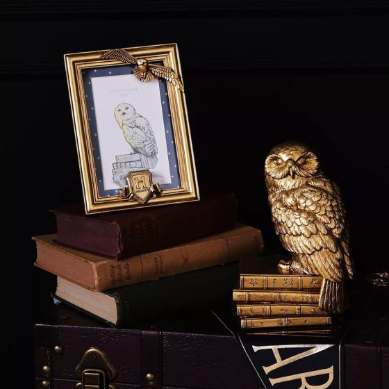 Harry Potter Alumni Gold Hedwig 4x6 Inch Photo Frame WB221