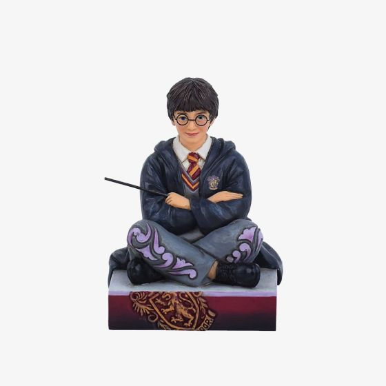Jim Shore Designs The Chosen One Harry Potter Figurine 6016699