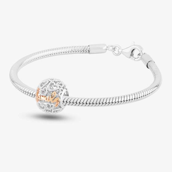 Rosa Lea Family Charm & Bracelet AM-2THB013906 & AM-2THB013504