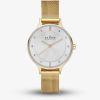Skagen Ladies Anita Gold Plated Bracelet Watch SKW2150