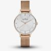 Skagen Ladies Anita Rose Gold Plated Bracelet Watch SKW2151