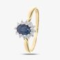 9ct Yellow Gold Sapphire & 0.10ct Diamond Cluster Ring PR05244Y SA