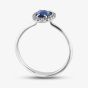 18ct White Gold 0.78ct Sapphire & 0.11ct Diamond Cluster Ring NTX1640 18KW