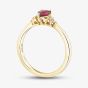 9ct Yellow Gold Ruby & Diamond Teardrop Cluster Ring 4454-10 RUBY