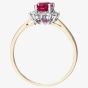 9ct Yellow Gold Oval Ruby & 0.25ct Diamond Cluster Ring PR10470Y RU