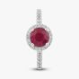 18ct White Gold Brilliant Cut Ruby & Diamond Shoulder Set Halo Ring R39073GW18RB