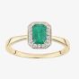 9ct Yellow Gold Emerald & 0.08ct Diamond Halo Ring DR1619YEM