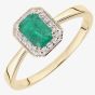 9ct Yellow Gold Emerald & 0.08ct Diamond Halo Ring DR1619YEM