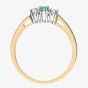 9ct Yellow Gold Emerald & 0.15ct Diamond Three Stone Ring PR06007Y EM