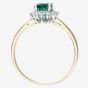9ct Yellow Gold Oval Emerald & 0.25ct Diamond Cluster Ring PR10470Y EM