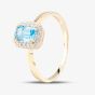 9ct Yellow Gold Topaz & 0.08ct Diamond Halo Ring DR1619YBT N
