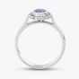 9ct White Gold Oval Cut Tanzanite & Brilliant Cut Diamond Halo Ring 10-80-567/25-04-228 N