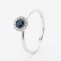 9ct White Gold Brilliant Cut Sapphire & Diamond Cluster Ring NTR832SD-9WG
