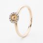 9ct Yellow Gold Brilliant Cut Citrine & Diamond Cluster Ring NTR832CITD-9YG