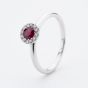 9ct White Gold Brilliant Cut Ruby & Diamond Cluster Ring NTR832RD