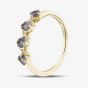 9ct Yellow Gold Tanzanite & Diamond Wave Half Eternity Ring RJR04808-TZ