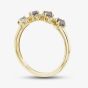 9ct Yellow Gold Tanzanite & Diamond Wave Half Eternity Ring RJR04808-TZ