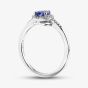 9ct White Gold Tanzanite & Diamond Heart Cluster Ring RJR04754-TA