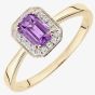 9ct Yellow Gold Amethyst 0.08ct Diamond Cluster Ring DR1619YAM