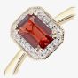 9ct Yellow Gold Garnet 0.08ct Diamond Cluster Ring DR1619YGT
