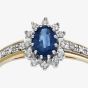 9ct Yellow Gold Tanzanite 0.10ct Diamond Cluster Ring PR04767T TANZ