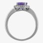 9ct White Gold Round Tanzanite and Diamond Halo Ring OJR0099-T2A