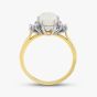 18ct Yellow Gold Oval Opal & Diamond Shoulder Set Ring 59010OPG8 L