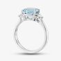Tivon 18ct White Gold Aquamarine & Diamond Three Stone Ring RW-1871-SAQ