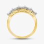9ct Yellow Gold 0.50ct Diamond Five Stone Ring TH011731R