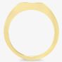 9ct Yellow Gold 0.01ct Diamond Signet Ring DR1657 